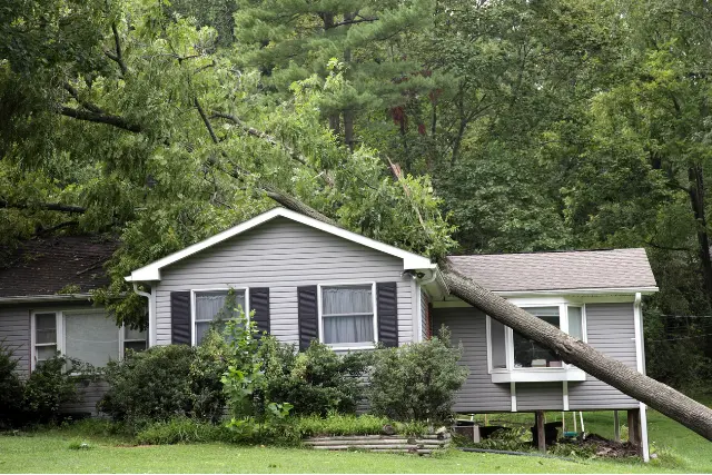 a fallen tree on a montgomery county maryland home demonstrating the importance of knowing the signs a tree could fall on your house
