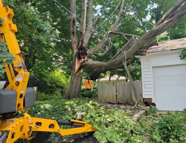 Damage from tree fell on house insurance documentation Maryland