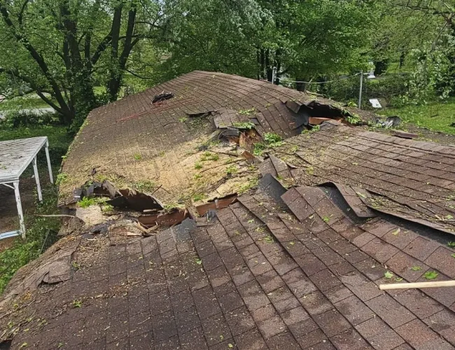 Emergency tree removal after severe weather Montgomery County MD