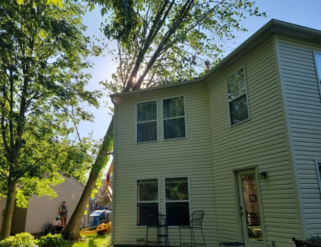 Large tree on roof removal Montgomery County Maryland