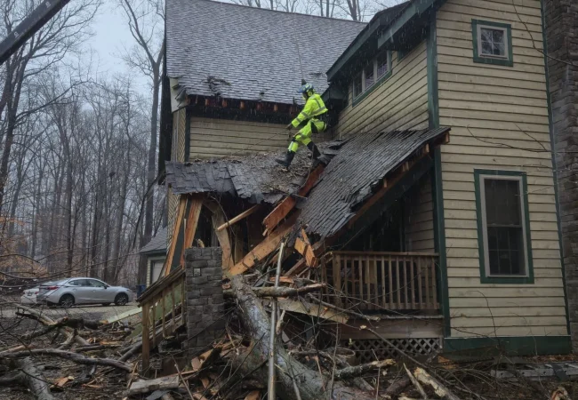 Storm damage tree removal Montgomery County Maryland